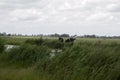 Farmland With Cows In The Distance Around Naarden The Netherlands 1-7-2020 Royalty Free Stock Photo