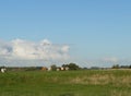 Farmland with cows in Netherlands Royalty Free Stock Photo