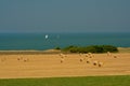 Farmland with cylindrical hay stacks on the French opal coast Royalty Free Stock Photo