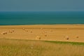 Farmland with cylindrical hay stacks on the French opal coast Royalty Free Stock Photo