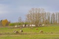 Meadow with haystatacks and old shed and uautmn trees in the flemish countryside Royalty Free Stock Photo