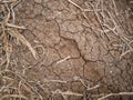 Farmland in a drought