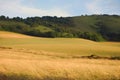 Farmland in East Sussex, England