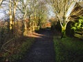 woodland path in the Winter sunshine in Burnley lancashire