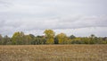 Farmland in fall after harvest and colorful trees in the Flemish countryside Royalty Free Stock Photo