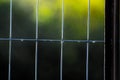 Farmland fence with droplets of rain still clinging to the wire