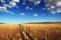 Farmland Fence (Namibia)