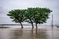 Large Scale Farmland Flooding