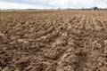 Farmland. Furrows on agricultural land