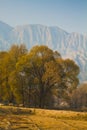 Farmland in gansu china Royalty Free Stock Photo