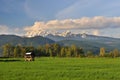 Farmland and Golden Ears Mountain, Pitt Meadows Royalty Free Stock Photo