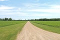 A farmland grass lined dirt road leading through agricultural fields with bright blue overcast sky perfect for seasonal marketing