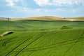 Farmland and grasses, with powerlines in the Palouse region of Washington State, near Colfax, WA Royalty Free Stock Photo