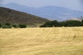 Farmland Haystack america