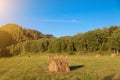 Farmland landscape with yellow dry haystacks on green grass during harvest. Agriculture Royalty Free Stock Photo