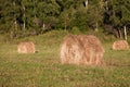 Farmland landscape with yellow dry haystacks on green grass during harvest. Agriculture Royalty Free Stock Photo