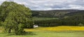 Farmland near Corgarff Castle in Aberdeenshire, Scotland, United Kingdom.