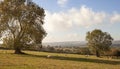 Farmland near Hidcote Bartrim, Cotswolds, England