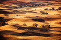 Farmland, Palouse, Washington