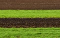 Farmland, plowed field at spring, landscape, agricultural, fields