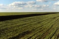 Farmland, plowed field at spring, landscape, agricultural, fields