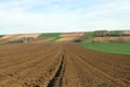 Farmland plowed and green wheat field