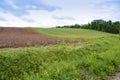 Farmland plowed and sown, cultivated field