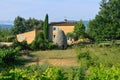 Farmland, Provence, France