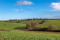 Farmland in the South Downs on a sunny winter`s day Royalty Free Stock Photo