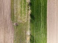 Farmland, top view. Plowed soil, green field with wheel marks and trees. Aerial shot of spring agricultural landscape