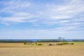 Farmland view with the horizon