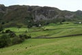 Farmland view, in Little Langdale, in the Lake District, in August, 2020.