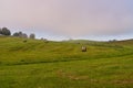 Morning Comes to a Farm in Virginia Royalty Free Stock Photo