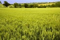 Farmland warwickshire view from offchurch greenway cycle path Royalty Free Stock Photo