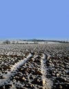 Farmland winter