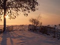 Farmland winter sunset