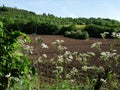 Farmland in Yorkshire with ploughed furrows of soil view of fence