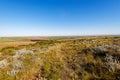 Farmlands along the Garden Route in the Western Cape, South Africa, showing bee hives.