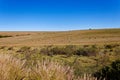 Farmlands along the Garden Route in the Western Cape, South Africa, showing sheep grazing.