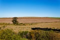 Farmlands along the Garden Route in the Western Cape, South Africa, showing tractors plowing a field.