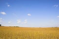 Farmlands and fields