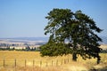 Farmlands, Goldendale, WA Royalty Free Stock Photo