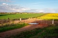 Farmlands growing crops in Cowra