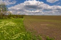 Farmlands and meadows in the Moldavian, Republic of Moldova