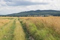 Farmlands.