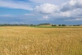 Farmlands.