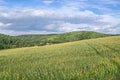 Farmlands.