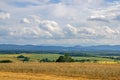 Farmlands.