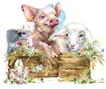 Lamb. cute pig. chiken. rabbit. watercolor farms animal collection.
