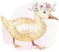 Farms animal isolated set. Cute domestic farm pets watercolor illustration. Duck cartoon drawing. Royalty Free Stock Photo